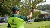 Lawn Mowing Wyndhan Vale