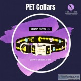 Buy Pet Accessories Dog Harness and Leash set
