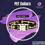 Buy Pet Accessories Dog Harness and Leash set