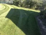 Lawn and landscaping