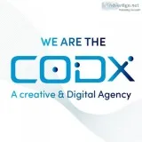 Application development services in chandigarh