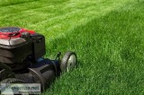 Lawn care Service in Muskegon Michigan