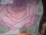 ISO Art supplies