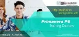 Primavera p6 training in delhi