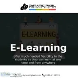 Professional E-learning solution content