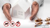 Pest Control Pimpama