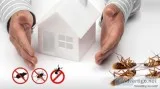 Pest Control Pimpama