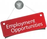 Call Center Sales Rep