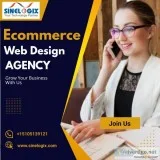 Hire Online store designer in India - Sinelogix