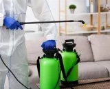 Restoration Water Damage Company Gold Coast  Southqldrestoration