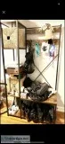 Coat rack with shoe bench assembled