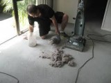 Cheap End of Tenancy Cleaning in Auckland - Ph.No. 0800 692 533