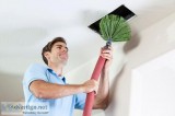 Top the Best Cleaning Services in tampa Florida