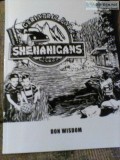 shenanigans by Don Wisdom.