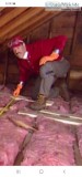 Pest control
