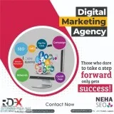 Web development company in indore | reliable digital expert