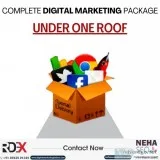 Web design company in indore reliable digital expert