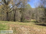 Waterfront Land Available in Cadiz Ky