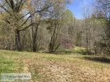 Waterfront Land Available in Cadiz Ky