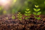 Agro chemical products for sale