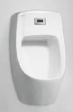 Designer urinals toilet seats