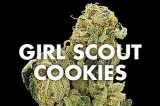 Buy Girl Scout Cookies Online