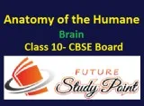 FUTURE STUDY POINT NCERT Solutions