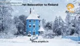 Pet relocation to finland