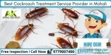 Cockroach Treatment in Mohali