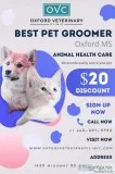Best Pet Groomer in Oxford MS  Veterinary Clinic