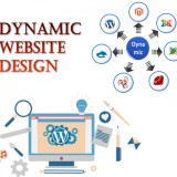 Dynamic Website Designing Services for Extended Local Reach