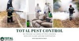 Bid Goodbye to Termites with Expert Termite Control Bendigo