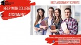 College Assignment Help  Plagiarism-free Assignments