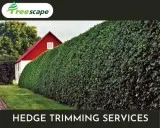 Hedge trimming