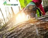 Arborist
