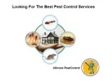 Looking For The Best Pest Control Services in Faridabad Gurgaon 