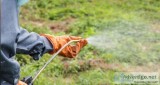 Best Weed Management in Poole UK