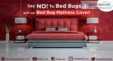Say No to Bed Bugs with our Bed Bug Mattress Cover