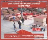 Shuttering Plywood Exporter in Haryana &ndash BIGWIG