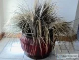 New - Silk Plant With Bamboo Base