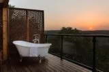 Forest Resorts Near Mumbai  The Machan