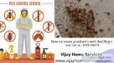 Pest Control Service  from Vijya Home Services