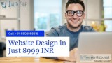 Professional Web Developer Solutions