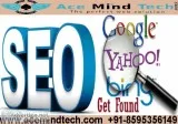 Best SEO Company in Delhi Location Acemind Technology