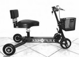Travel Scooter