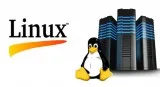 Linux Shared Hosting - HTS Hosting