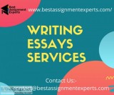 Writing essays services  Homework assignment online