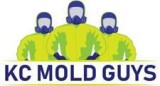 KC Mold Guys