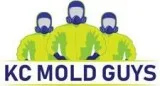KC Mold Guys