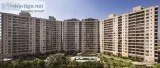 Central park - luxury residential homes in gurugram | flats for 